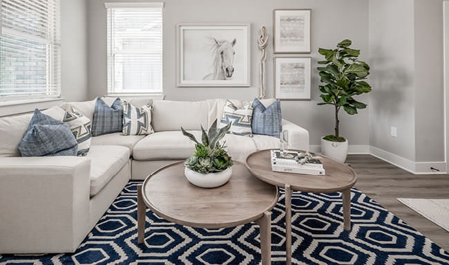 well lit and spacious living room